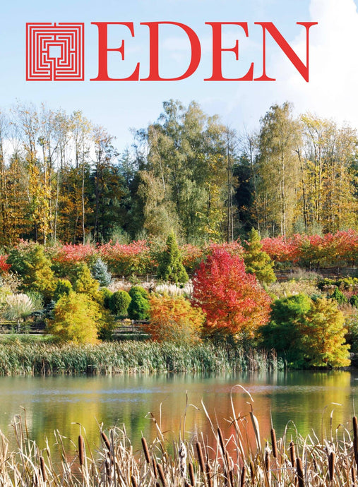 Nummer 83 - Herfst 2025